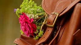 batoh backpack-1482611 1280